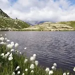 Delizioso Appartmento Tra Le Alpi Apartment *