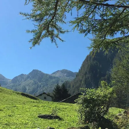 Delizioso Appartmento Tra Le Alpi Daire *