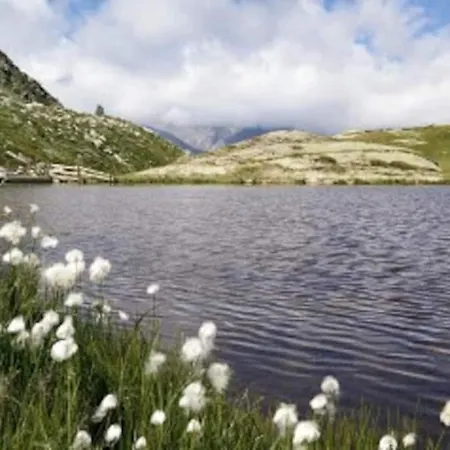 Delizioso Appartmento Tra Le Alpi Daire *