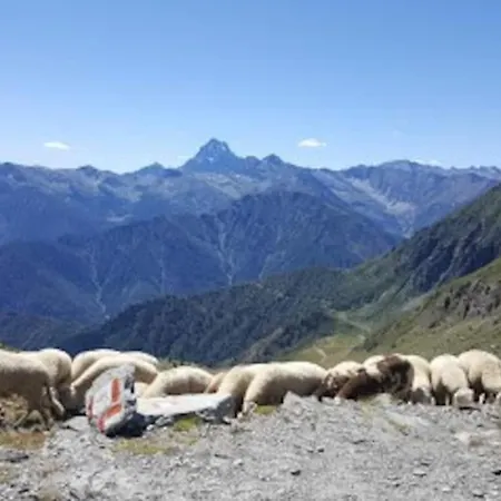 Apartment Delizioso Appartmento Tra Le Alpi