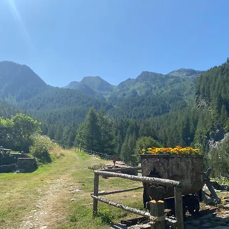 Apartment Delizioso Appartmento Tra Le Alpi