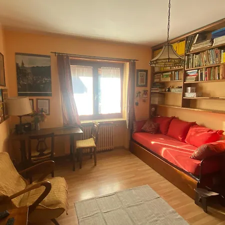 Delizioso Appartmento Tra Le Alpi * Prali