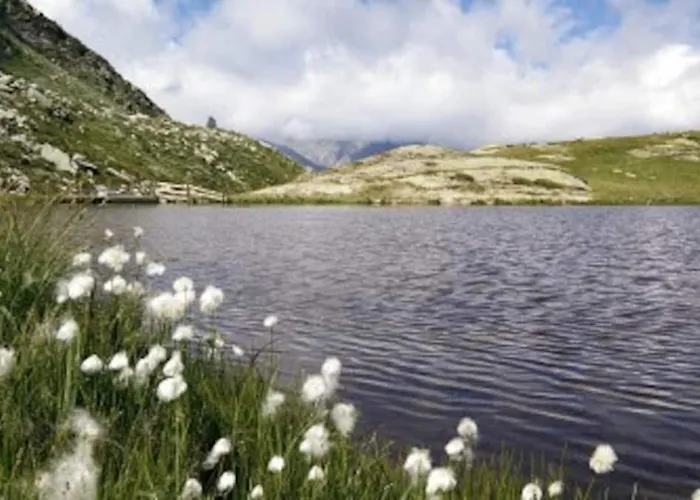Delizioso Appartmento Tra Le Alpi Lägenhet *