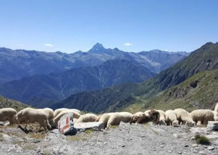 Lägenhet Delizioso Appartmento Tra Le Alpi
